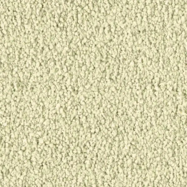 Vorwerk Violetta 8L45 – Draufsicht Teppichboden Farbe 8L45 ohne Badge